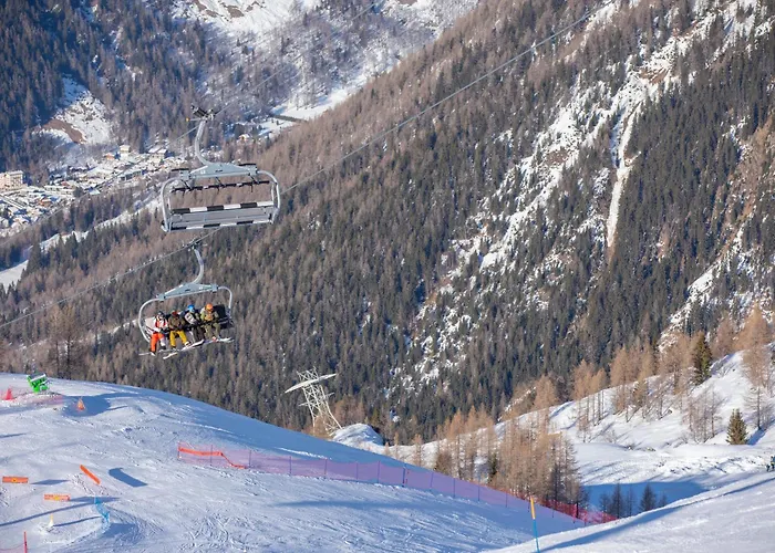 Grand Roc - Ancolies 215 - Happy * 霞慕尼