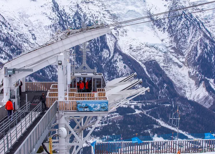 Grand Roc - Ancolies 215 - Happy *