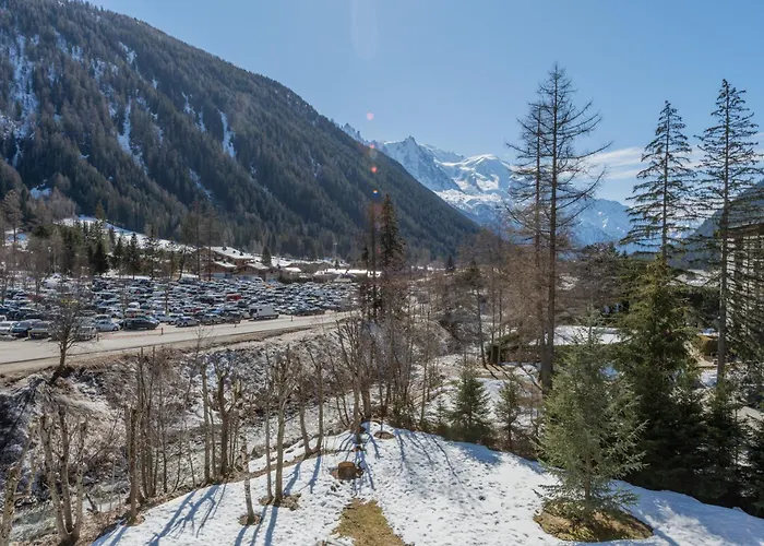 Grand Roc - Ancolies 215 - Happy Chamonix